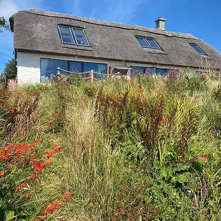 Bayside Cottage Connemara Canower Exterior photo