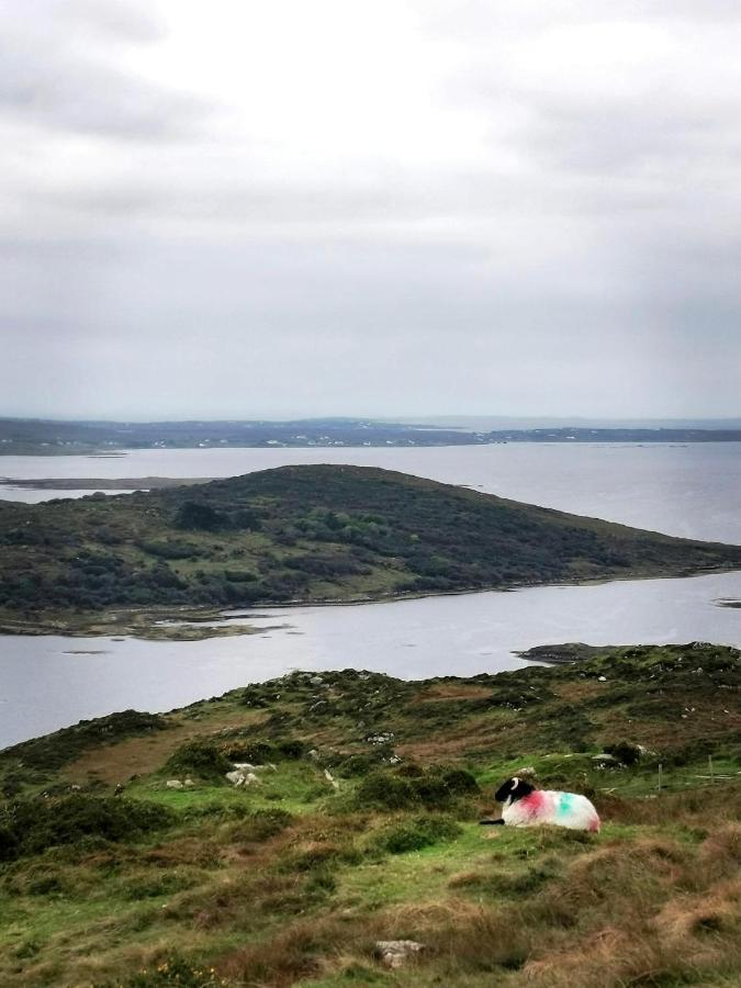 Bayside Connemara *