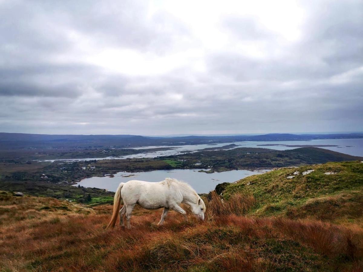 Bayside Connemara