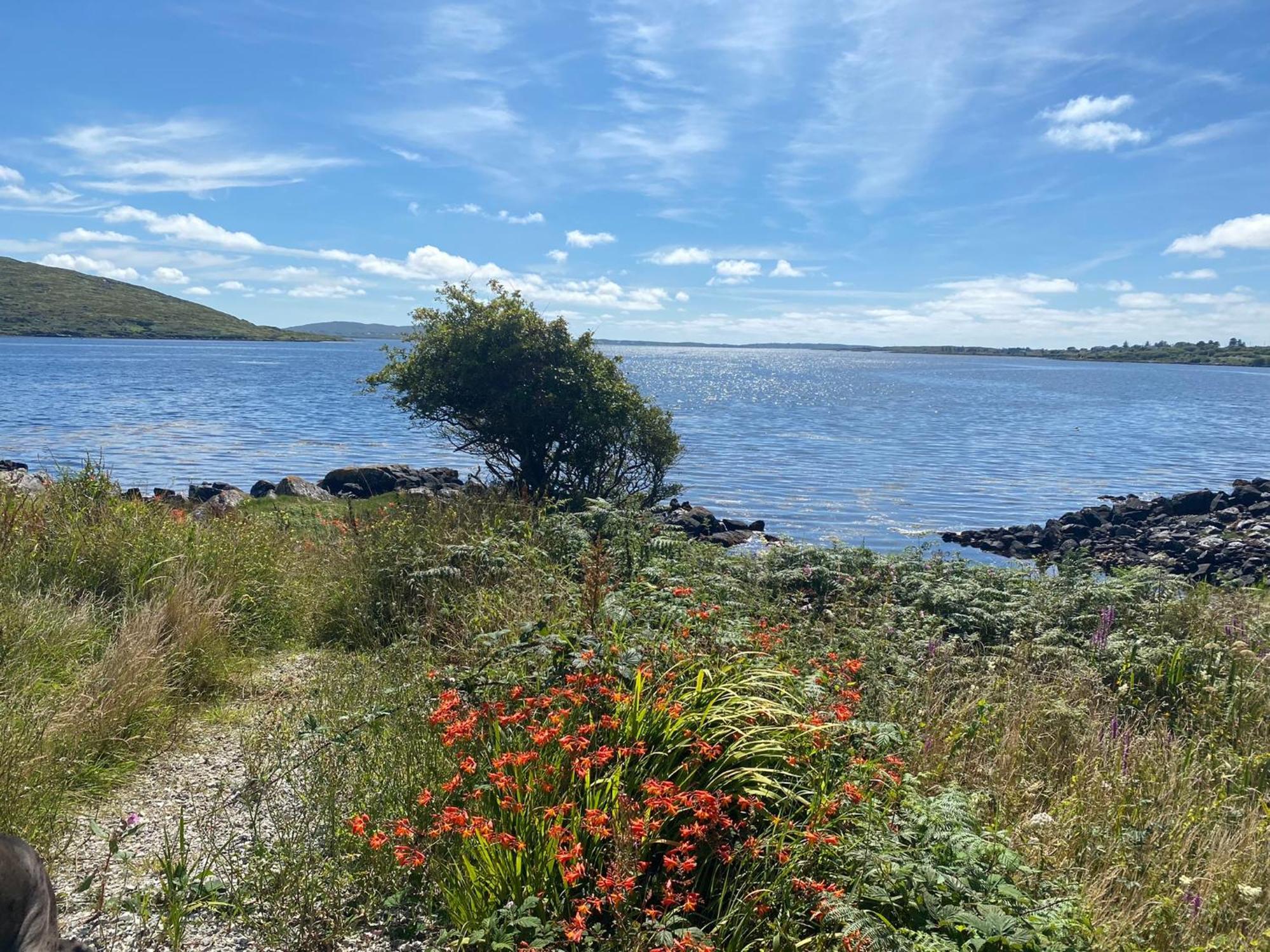 Bayside Connemara Holiday home *