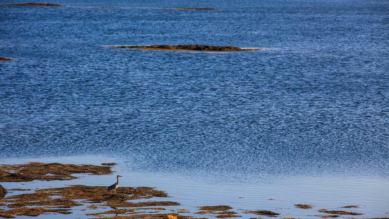 Bayside Connemara * Canower